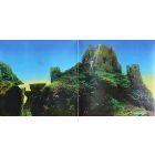 Led Zeppelin - Houses Of The Holy Lp,Album,Re  (180g)