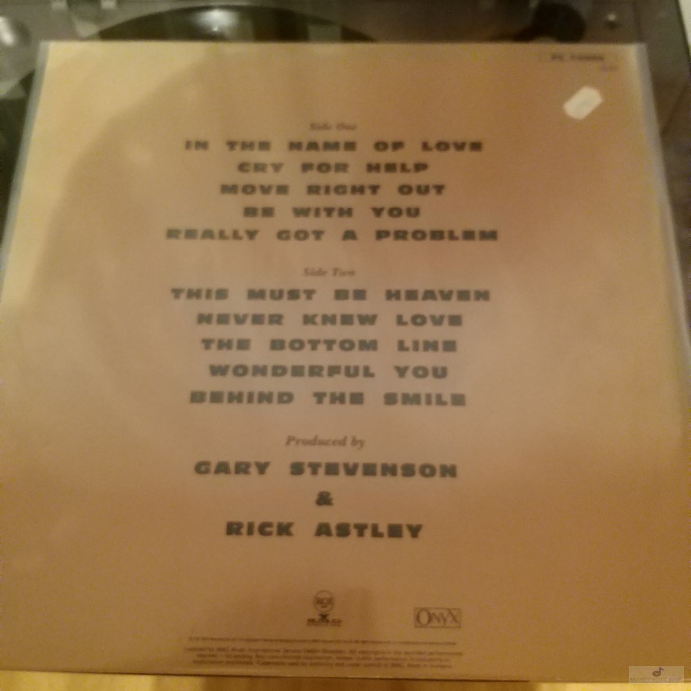 Rick Astley ‎– Free Lp 1991 (Vg/Vg+) - Bakelit-Vinyl Shop