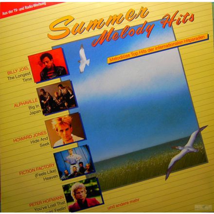 Various – Summer Melody Hits LP (Vg+/Vg+)
