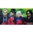 Toto: Greatest Hits: 40 Trips Around The Sun (remastered) lp