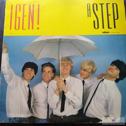 Step - Igen Lp  1988 (Vg+/G+)