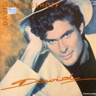 David Hasselhoff – David Lp (G+/Vg)