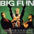 Big Fun – Living For Your Love (Vg+/Vg+)