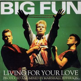 Big Fun – Living For Your Love (Vg+/Vg+)