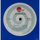 Haddaway – What Is Love Maxi ( 12", 45 RPM, Re Blue Vinyl) 