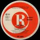 Gianna Nannini – America Maxi (Special Disco Version) (Vg+/Vg)