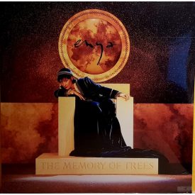 Enya ‎– The Memory Of Trees lp
