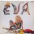 Éva ‎– A Sárkány Éve Lp 1988 (Vg/Vg+) + insert