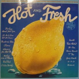   Various – Hot And Fresh 2xLp (Vg+/Vg+) /Erasure - Rick Astley - Dr. Alban ....