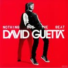 David Guetta ‎– Nothing But The Beat 2xLP, Album,