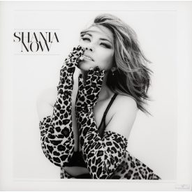 Shania Twain - Now 2xlp,album