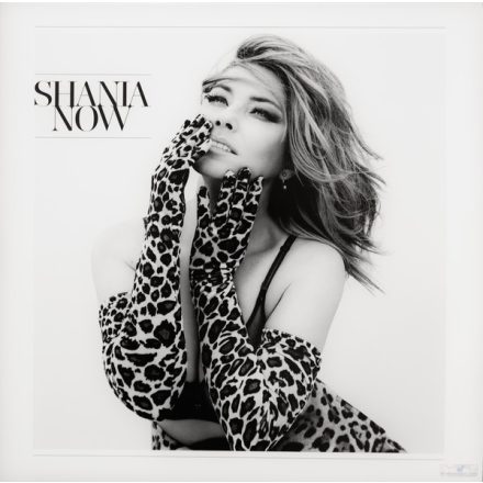 Shania Twain - Now 2xlp,album