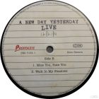 Joe Bonamassa - New Day Yesterday Live  2xLP, Live, High Quality, Limited Edition