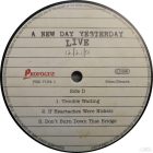 Joe Bonamassa - New Day Yesterday Live  2xLP, Live, High Quality, Limited Edition