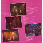 Newton Family – Dandelion Lp (Vg+/Vg)