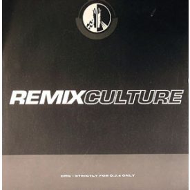 Various – Remix Culture 142 2xMaxi (Vg/Vg)