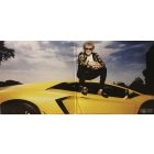 Rod Stewart - Blood Red Roses 2xlp,Album