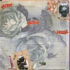 Pink - I'm Not Dead 2xLP, Album, RE