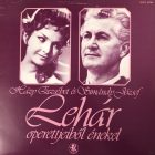 Házy Erzsébet És Simándy József – Lehár Operettjeiből Énekel Lp (Vg/Vg)