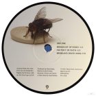 Red Hot Chili Peppers ‎– I'm With You 2xlp