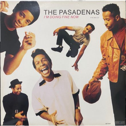 The Pasadenas – I'm Doing Fine Now  maxi  (Vg+/Vg+)