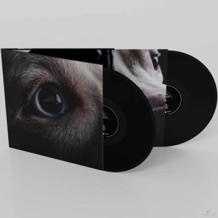 Roger Waters - Dark Side of the Moon Redux 2xLp (Black Vinyl) 