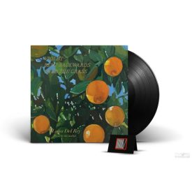     LANA DEL REY - VIOLET BENT BACKWARDS OVER THE GRASS LP (SPOKEN WORD)