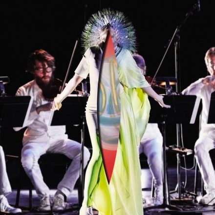 Björk - Vulnicura Strings 2xLp,album