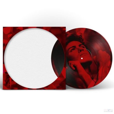 George Michael - Careless Whisper Maxi Vinyl (Ltd, Picture  Vinyl)