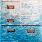 Moby - Everything Is Wrong Lp,Album