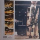 The Cardigans- First Band On The Moon Lp