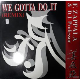   D.J. Professor & F.Zappalà – We Gotta Do It (Remix)  (Vg+/Vg+)