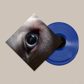   Roger Waters - Dark Side of the Moon Redux 2xLp (Blue Vinyl) 