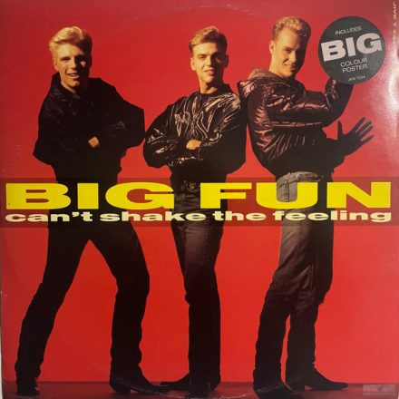 Big Fun – Can't Shake The Feeling (Ex/Vg+)